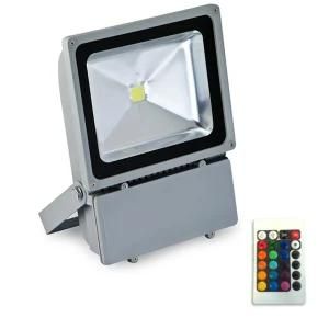 60W LED Flood Light (PW2038-1RGB)