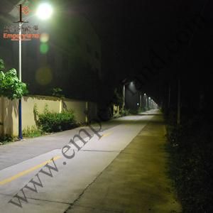 60W Solar Power Street Light for Garden (DZS-002)