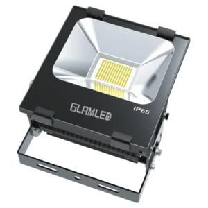 Orsam 100W Hv Driverless LED Landscape Floodlight