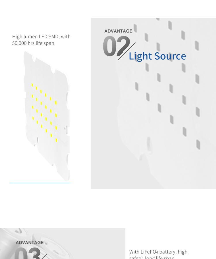 Exclusively Designed Solar Flood Light with Diamond Reflectors