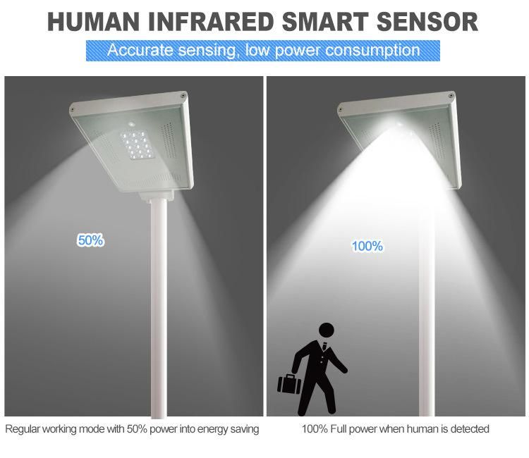 1650lm Brand 3030 LED Chips 15W Solar Street Light