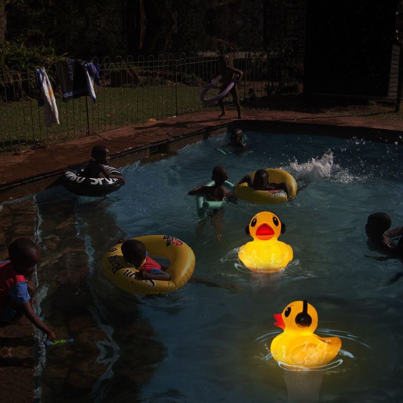 Inflatable Duck Swan Party Swimming Pool LED Light Ball Solar Power Light System RGB LED Lamp Garden Pool Outdoor LED Lighting Sensor Auto on off Solar Light