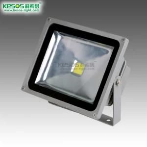 Europe Popular 30W LED Flood Light