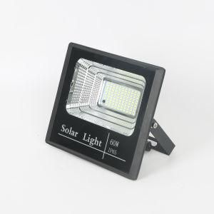 Low Price IP65 Waterproof Yard Lamp Bj 60W LED Flood Light with Source