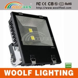 Outdoor 30W 50W 80W 100W Party RGB LED Flood Light