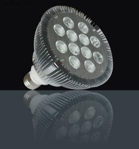 LED Spot Lights PAR38 12x1W