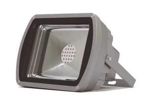 Energy Saving High Lumen Outdoor IP65 50 Watt LED Flood Light