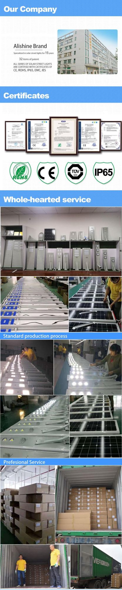 Manufacturer 2020 Solar Hybrid LED Street Light