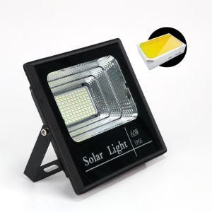 High Quality Garden Light IP65 Waterproof Bj 60W Outdoor Lighting with CE/Rosh Certificate