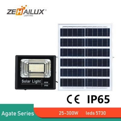 China Factory Solar Panel Outdoor SMD LED Floodlight for Garden