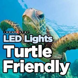 Fwc Approved LED Lights 100W, Turtle Friendly Lighting, Underwater Use