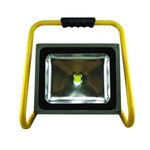 20W LED Flood Light (PW2030-S)