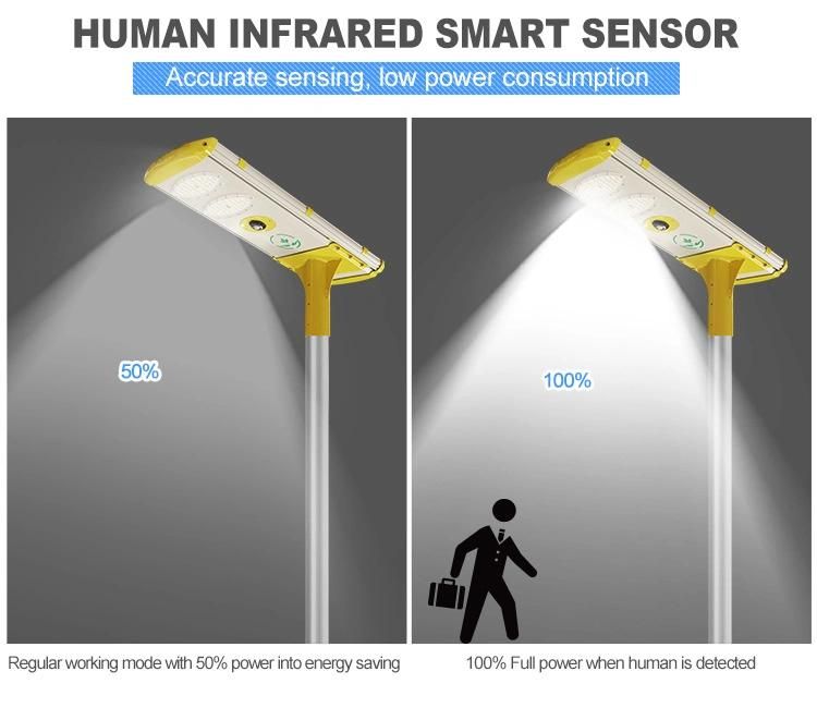 Private Module 40W All in One LED Solar Street Light