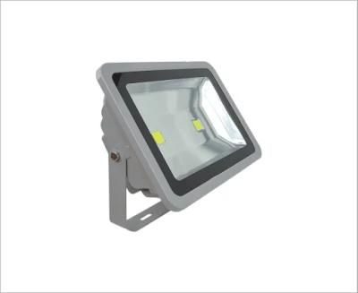 100W IP65 COB High Power Dia-Casting Aluminum Flood Light