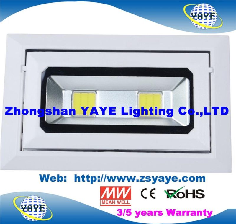 Yaye 18 Top Sell Ce/RoHS Approval COB 30W LED Projector / COB 30W LED Flood Light /COB 30W LED Downlight