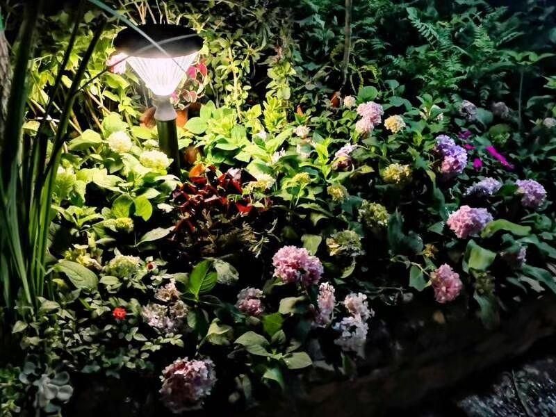 Outdoor Warm White Smart Solar LED Lamp Garden Lights