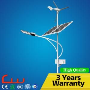 China Manufacturer Hi-Q IP65 Wind Solar Hybrid LED Street Light