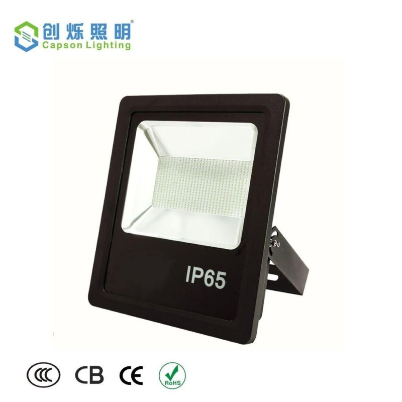 Hot Sales Industrial Design 100W 20000hours Warranty Waterproof LED Solar Flood Light (CS-TYCF-100)