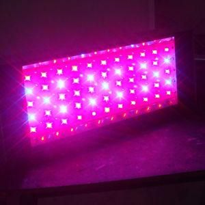 Procyon 100 LED Grow Light