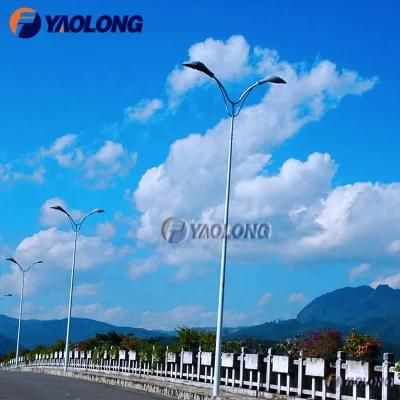 8m Dual-Arm Easy Mounting 304L Stainless Steel Street Lighting Pole