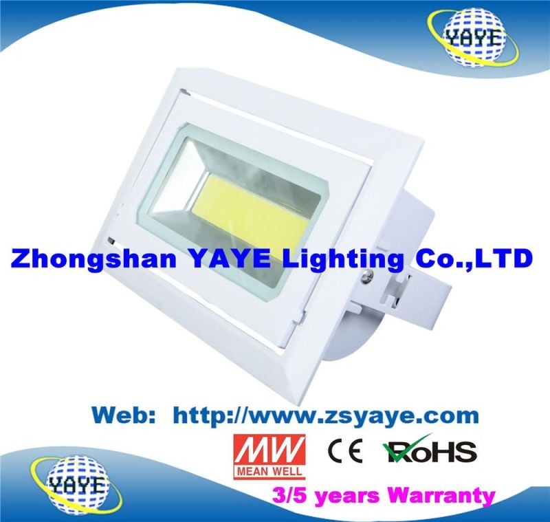 Yaye 18 Top Sell Ce/RoHS Approval COB 30W LED Projector / COB 30W LED Flood Light /COB 30W LED Downlight