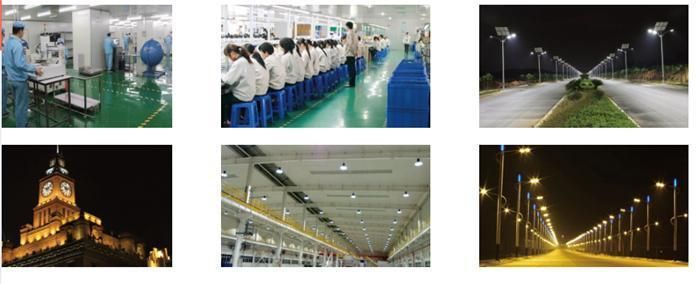 Solar Professional China Manufacturer of 30W All in Two Solar Street Lights