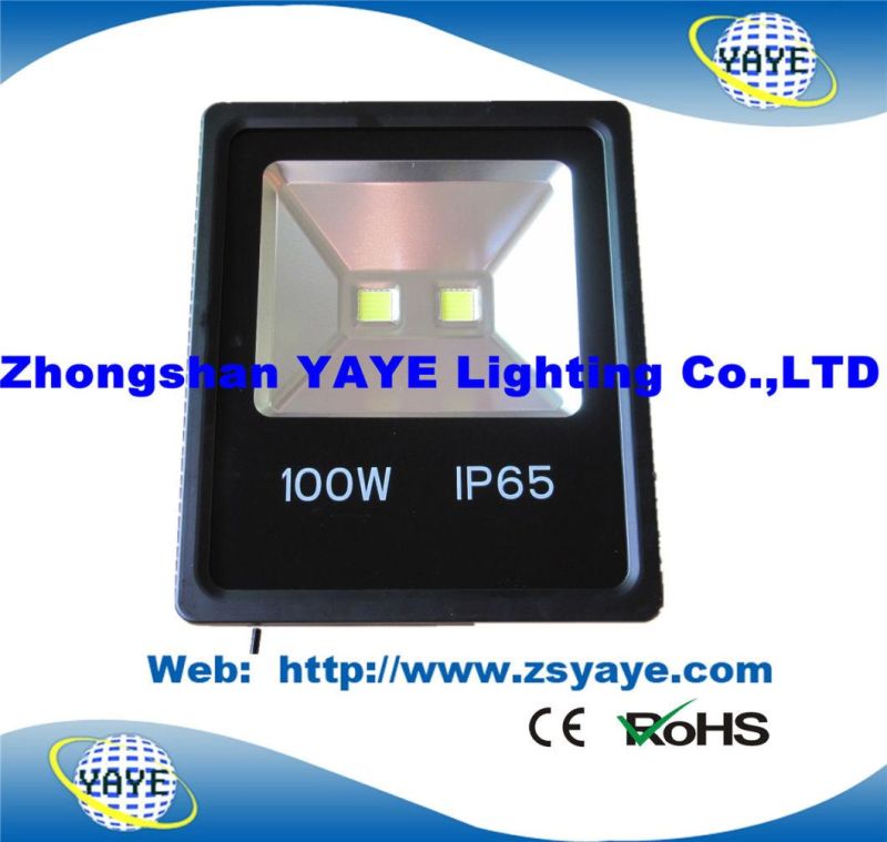 Yaye 18 Top Sell Newest Type Ce/RoHS Approval 100W LED Flood Light / 100W LED Tunnel Lights/ 100W LED Garden Light