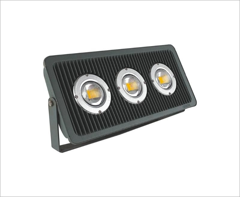 CE RoHS IP65 COB 80W Flood Lamp