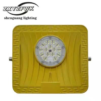 50W Factory Direct Manufacturer Shenguang Lighting Msld Yellow Outdoor LED Light