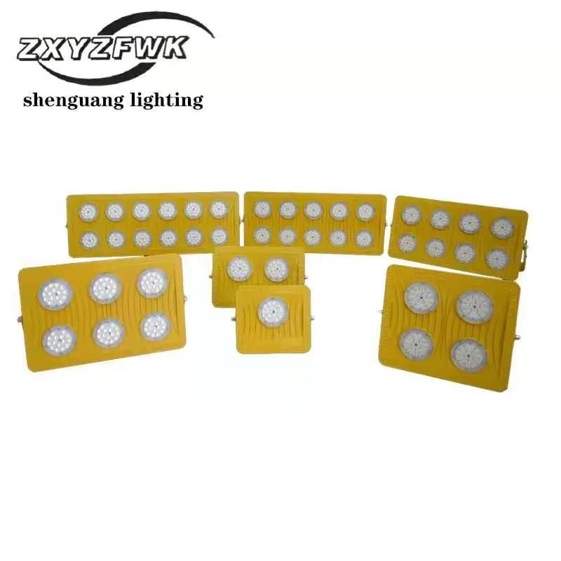 100W Factory Direct Supplier Shenguang Lighting Msld Yellow Outdoor LED Light