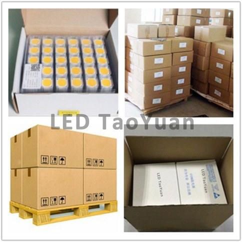 LED 20W COB LED Module for Flood Light