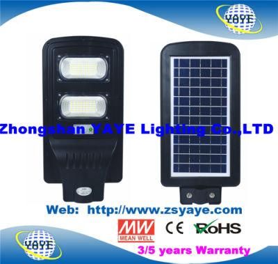 Yaye 18 Factory Price (USD15.5/PC) 40W Solar LED Street Light Lamp/ Solar LED Garden Light with 2 Years Warranty