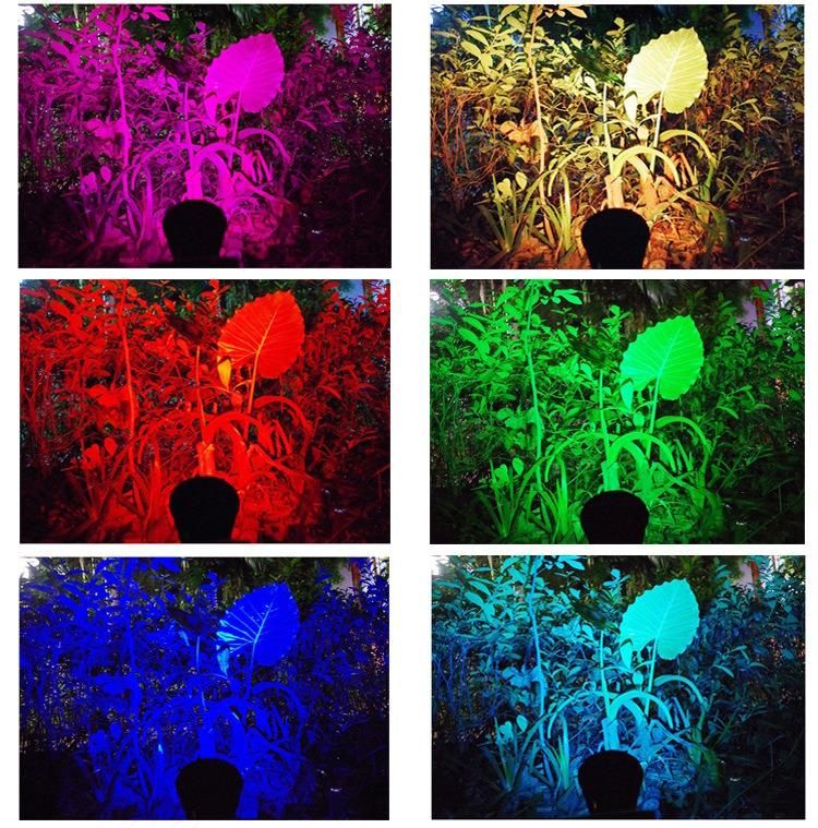 5V 1W/2W/3W Solar Lightings Landscape