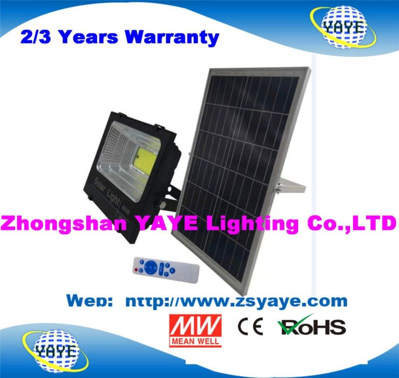 Yaye 2021 Hot Sell Outdoor IP67 COB 40W Solar LED Flood Light / 40W Solar LED Flood Lighting with 2/3 Years Warranty