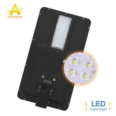 Outdoor Lighting 110lm/W Brand 3030 LED Chips 40W Solar Light