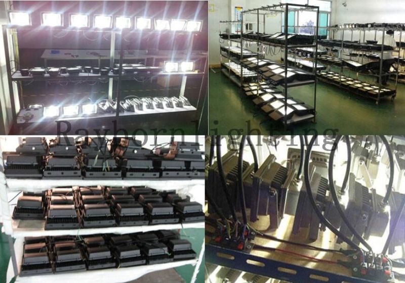 Ce 12V 24V 30V 36V 48V/DC 10W 20W 30W 50W 100W LED Projector LED Flood Light for Garden Trains, Prisons Marine Fishing Boat