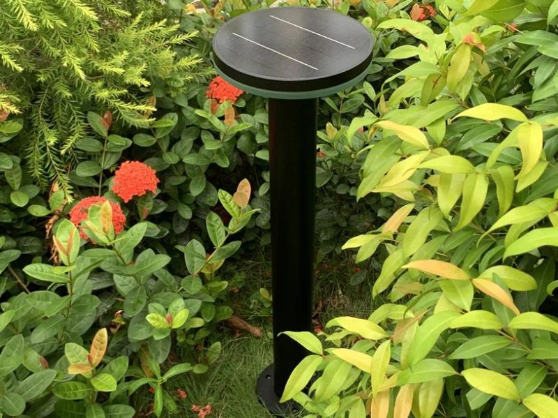 China Solar Factory Supply Pathway LED Garden Solar Lamp with LED Light & 5W Solar Panel