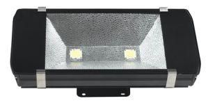 100w Flood Lamp (SEM-FL100-01B)