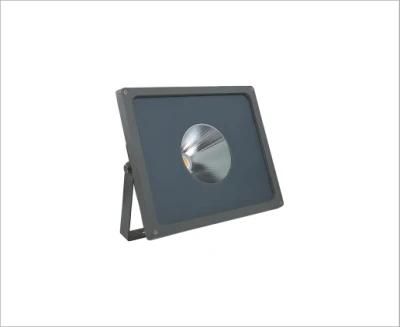 CE RoHS IP65 COB 80W Flood Lamp