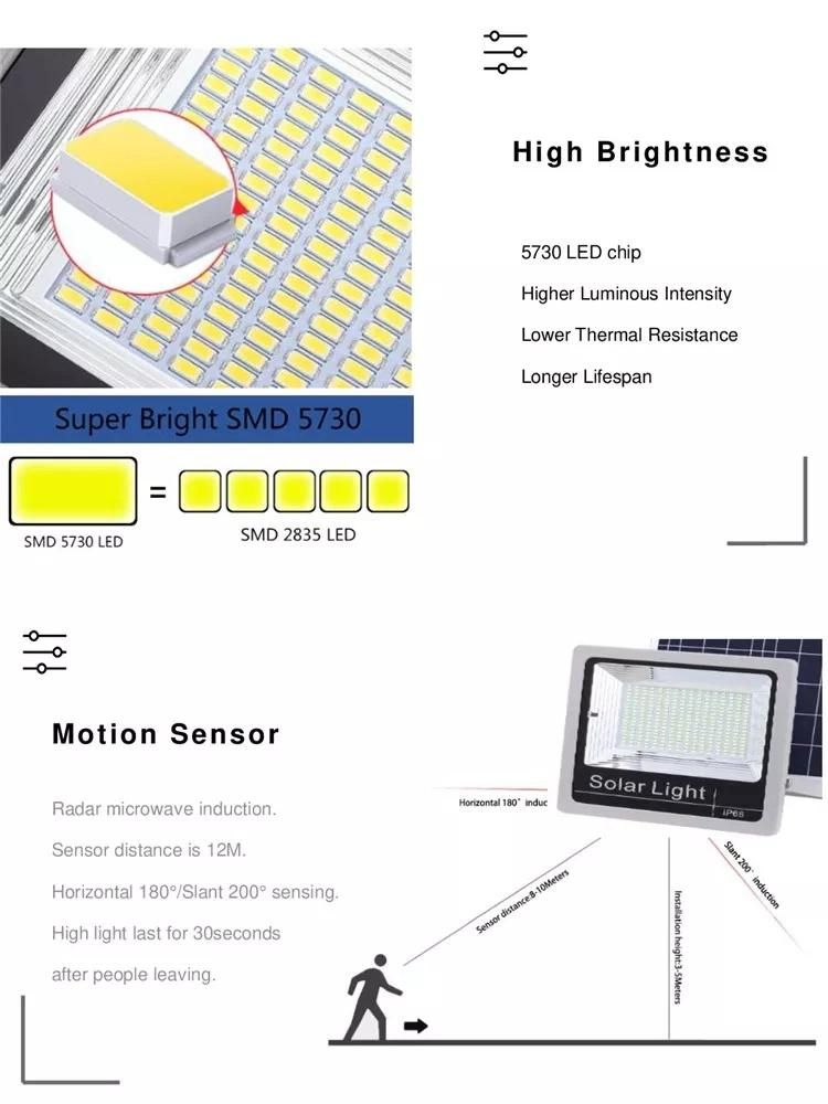 Sfl04-30W Solar Flood Light with Motion Sensor