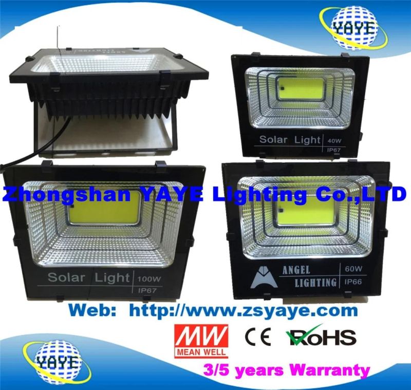 Yaye 18 Hot Sell 100W Solar Flood Light with USD38.5/PC, 60W Solar Flood Light with USD26.5/PC, 40W Solar Flood Light with USD20.5/PC, 25W with USD16.5/PC