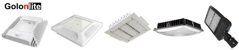 100-240W LED Flood Lamp for Petrol Station Gas Station