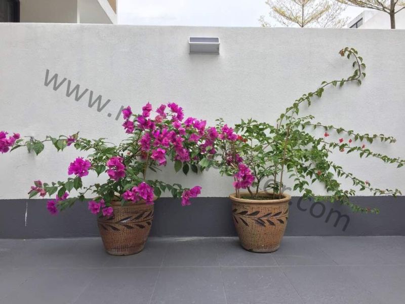 Warm White Color Aluminium Alloy Solar Wall Lights for Outdoor Use