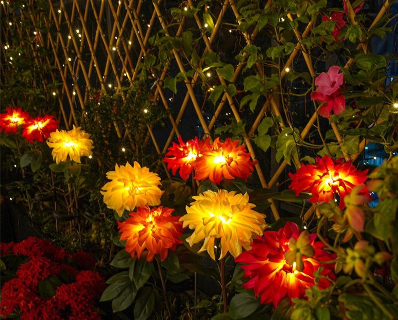 Attractive 3 Colors Solar Decorative Dahlia Flower Lamp for Outdoor Lighting