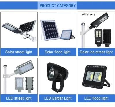 80W LED Solar Street Light Hanging Light