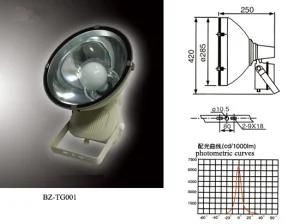 Induction Floodlight (BZ-TG001)