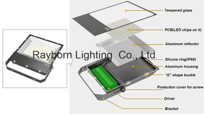 Outdoor/Indoor 80W 100W 150W 200watt LED Flood Light with Cheap Price with Baseball Field