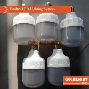 Poultry Farming LED Lighting Lamp