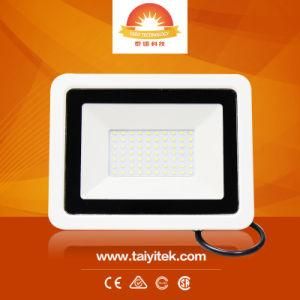 Outdoor High Power LED Lighting 10W 20W 30W 50W 70W 100W Floodlight