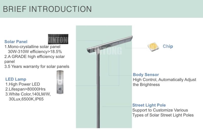 Poly Panel Photovoltaic Cell Solar Power LED Street Lamp